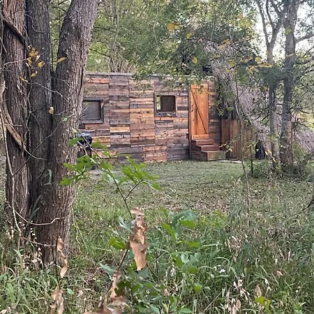 Cabin 1 Remote Cabin Next To Sam Houston National Forest Huntsville Exterior photo