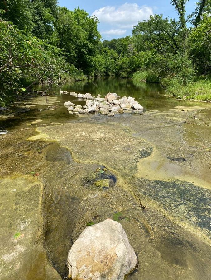 1 Remote Next To Sam Houston National Forest *