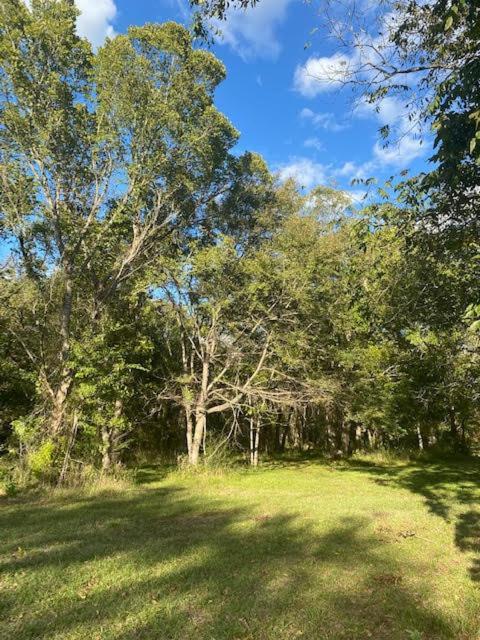 Holiday home 1 Remote Next To Sam Houston National Forest *