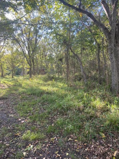 1 Remote Next To Sam Houston National Forest *